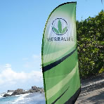 Beach Flag