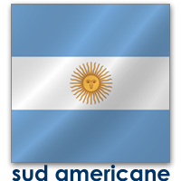 bandiere sud americana