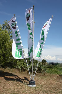 Pennone mobile